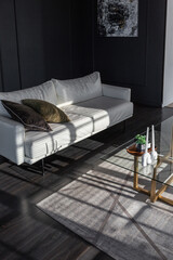stylish expensive minimalistic interior dark contrast living room with white sofa with sunlight without people