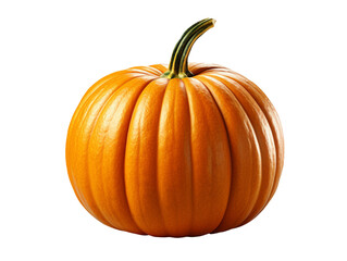 Obraz premium pumpkin isolated object