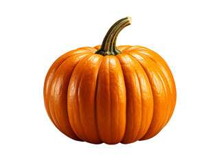 Obraz premium pumpkin isolated object
