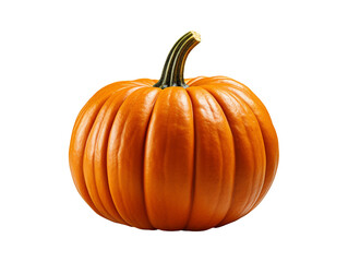pumpkin isolated object