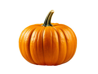 pumpkin isolated object