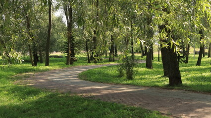 Sentiero nel parco.