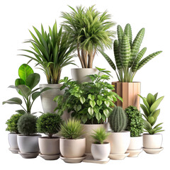 Plants Isolated on transparent background