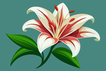 lily floral wale vector art illustration