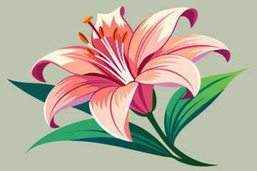 lily floral wale vector art illustration