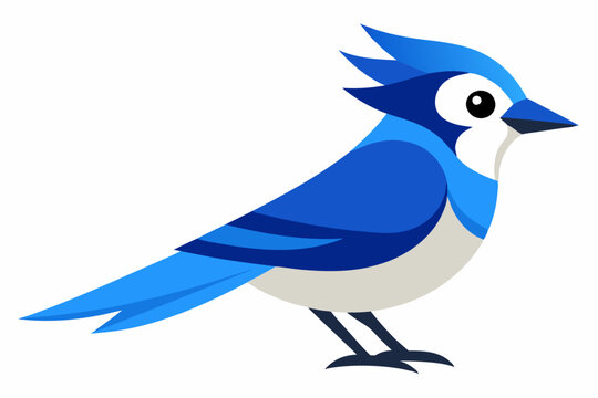 recommend clip art: vector art a blue jay illustration