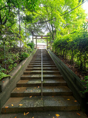 Obraz premium 愛宕神社の参道と鳥居