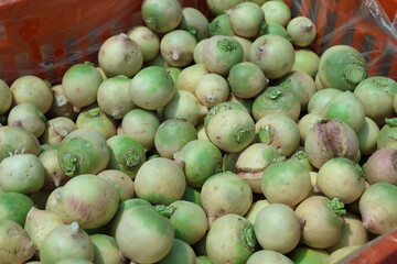 white turnips 