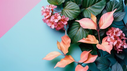 Fototapeta premium Pink and Green Foliage on Pastel Background