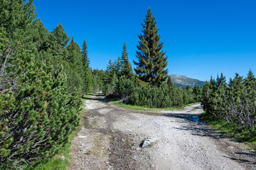 Fototapeta premium Landscape of Rila mountain near Granchar Lake, Bulgaria