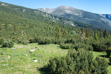 Landscape of Rila mountain near Granchar Lake, Bulgaria