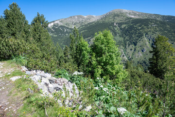 Landscape of Rila mountain near Granchar Lake, Bulgaria
