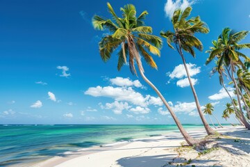 Obraz premium Stunning tropical beach with white sands and coconut trees invites travelers to paradise. The vibrant landscape promises an unforgettable vacation experience on a luxurious island resort.