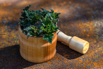 Fresh Green Nettle Leaves in Wooden Mortar and Pestle on Rusty Surface