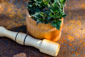 Fresh Green Nettle Leaves in Wooden Mortar and Pestle on Rusty Surface