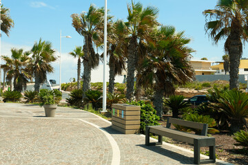 Fototapeta premium Beautiful view of city street with palm trees on sunny day