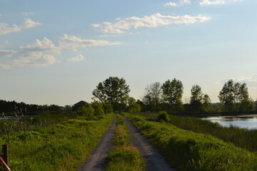 Fototapeta premium landscape with river and sky