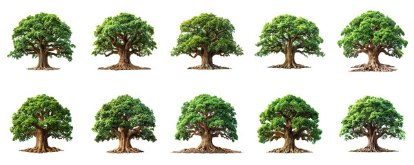 A collection of fairytale trees on a transparent background.