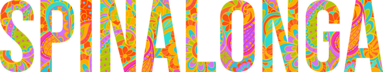 Spinalonga island text title with floral doodle pattern. Unique place name vector design, use for article header, merch print, travel blog, postcard, wall art print  .