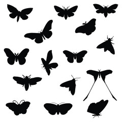 Moth Silhouette Vector Illustration Bundle
