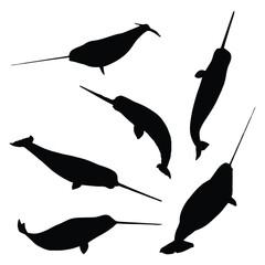 Narwhal Silhouette Vector Illustration Bundle © Kay