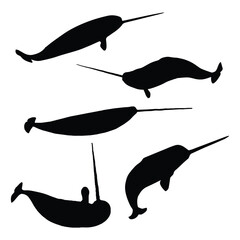 Set of Narwhal Silhouette Vector Illustration © Kay