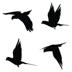 Parrot Silhouette Vector Art Set