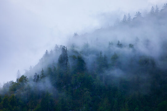 Mountain slope in clouds and mist