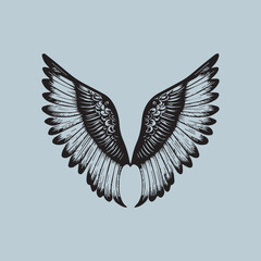 Fototapeta premium Silhouette wings in flat design, icon on white background. Vector illustration.