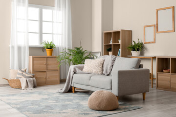 Sofa with pillow and plaid in modern interior of living room