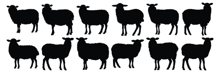 Sheep silhouettes set, pack of vector silhouette design, isolated background