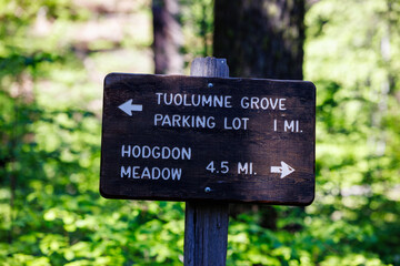 Tuolumne Grove Trail sign showing distances in Yosemite National Park in California, USA.