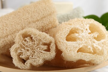 Natural loofah sponges on table, closeup view