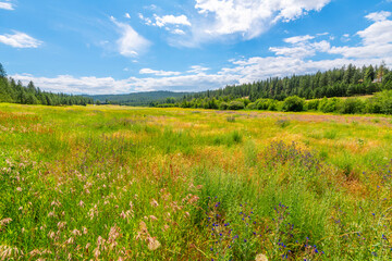 A large ranch in the rolling hills of State Line, Idaho, near the Spokane Washington border and...