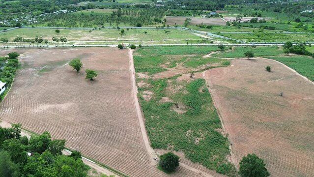 Drohnenaufnahme landwirtschaftlicher Felder mit unterschiedlichen Kulturen und Wachstumsstadien, vereinzelten B&auml;umen und einer Stra&szlig;e im Hintergrund.