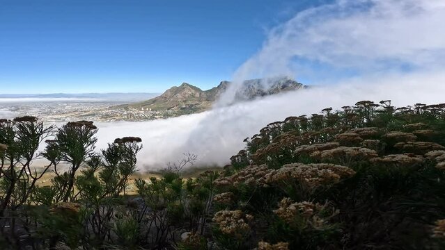 South Africa hiking