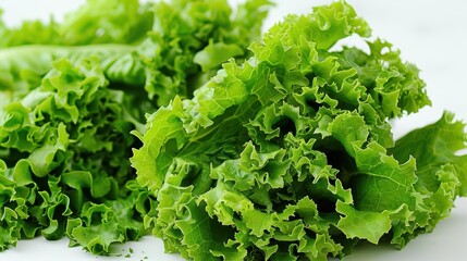 Fototapeta premium A detailed close-up of fresh, vibrant green leafy lettuce, showcasing the natural texture and color, highlighting the freshness and health benefits associated with consuming leafy greens
