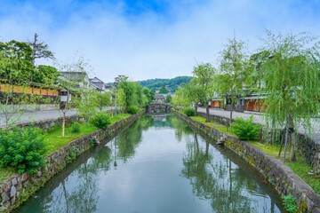 Fototapeta premium 静寂と新緑に包まれた春の倉敷旧エリアの情景