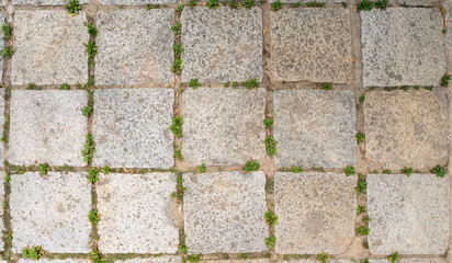paths covered with marble at regular intervals, textures