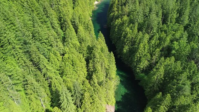 Aerial drone shot of Evans Creek weaving through the heart of Golden Ears Provincial Park.
