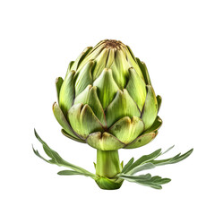 Obraz premium Artichoke isolate on transparent png. 