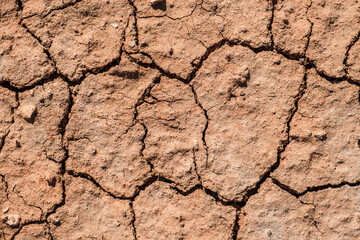 dry cracked earth