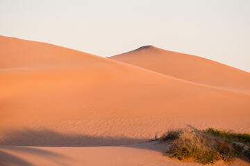 Sand and dunes in the Desert