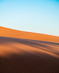 Sand and dunes in the Desert