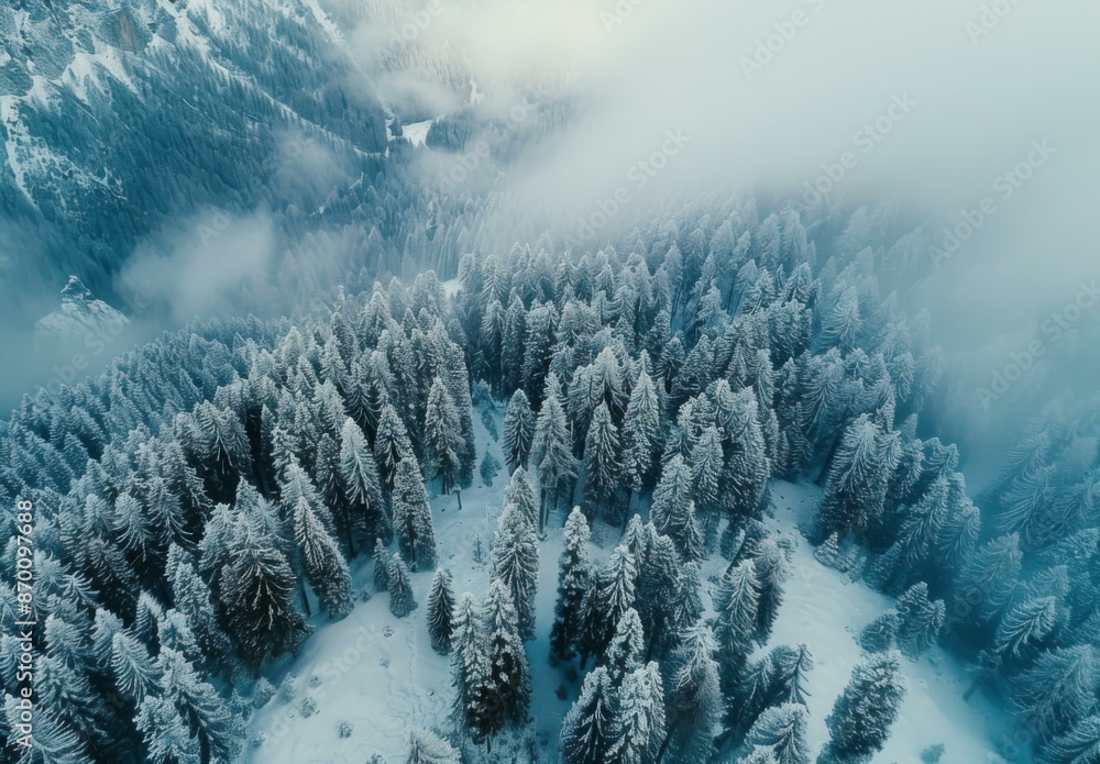 Poster a view of a snowy forest with trees covered in snow. ai.