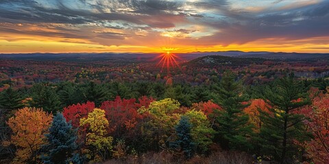 Sunset over top of colorful forest filled with multicolored trees