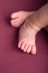 Little newborn baby human feet with toes and toenails close up