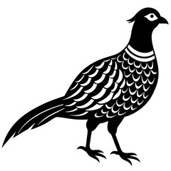 Pheasant vector icon silhouette illustration
