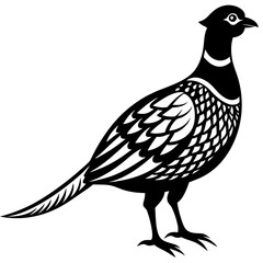Pheasant vector icon silhouette illustration