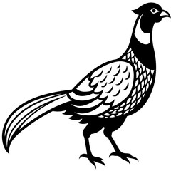 Pheasant vector icon silhouette illustration